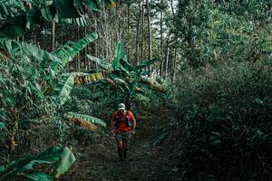 BIB: 
                            <button type="button" onclick="openModal(25659629)" class="btn btn-primary btn-sm float-right btn-popup" data-toggle="modal" data-target=".modal-high-quality">
                        <i class="fas fa-shopping-cart"></i> Add to Cart
                    </button>
                                            <button type="button" onclick="isThisMe(25659629, true)" class="btn btn-success btn-sm float-right btn-popup btn-isme hidden" data-toggle="tooltip" data-placement="bottom" title="นี่คือรูปของคุณใช่ไหม คลิกที่นี่เพื่อเอาเข้าอัลบั้ม">
                        <i class="fas fa-plus"></i> Add to album
                    </button>
                    <button type="button" onclick="isThisMe(25659629, false)" class="btn btn-warning btn-sm float-right btn-popup btn-isnotme hidden">
                        <i class="fas fa-ban"></i> Remove from album
                    </button>